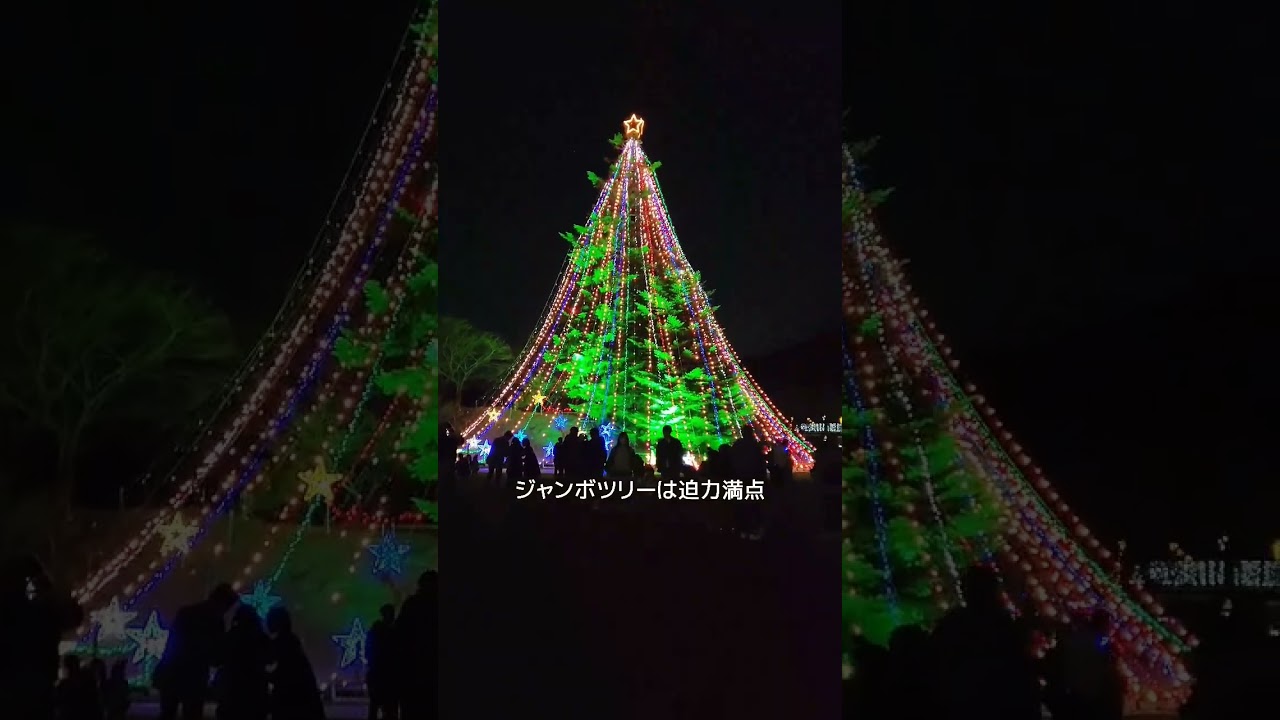 【神奈川･愛川】12/25まで！宮ヶ瀬湖一帯がイルミネーションで彩られる✨30m超えのジャンボクリスマスツリーも🎄#神奈川 #クリスマス #イルミネーション #デート