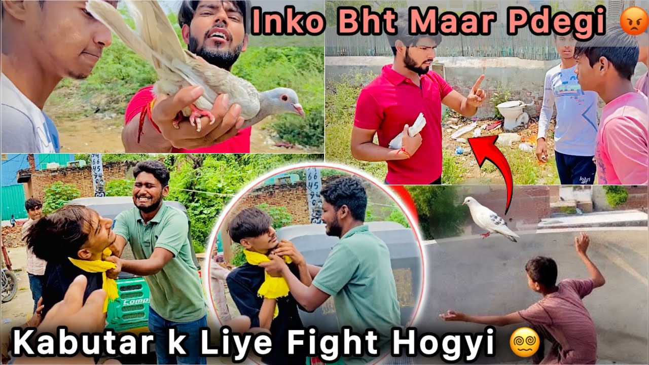 Kabutar Pakdne Per Hui Ladai 😮 || Fighting 🥷 For Pigeon 🕊️ || Bhag Gaye 😡