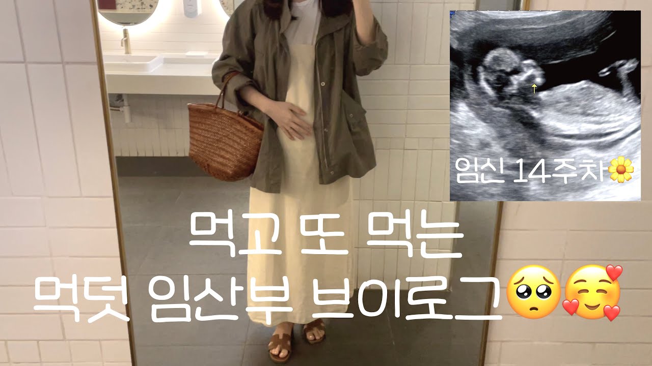 임산부 일상 vlog🥰 | 14주차, 15주차 입덧 낫는 중 먹은 것들, 초음파, 이케아는 맛집, 샌드위치 홀릭