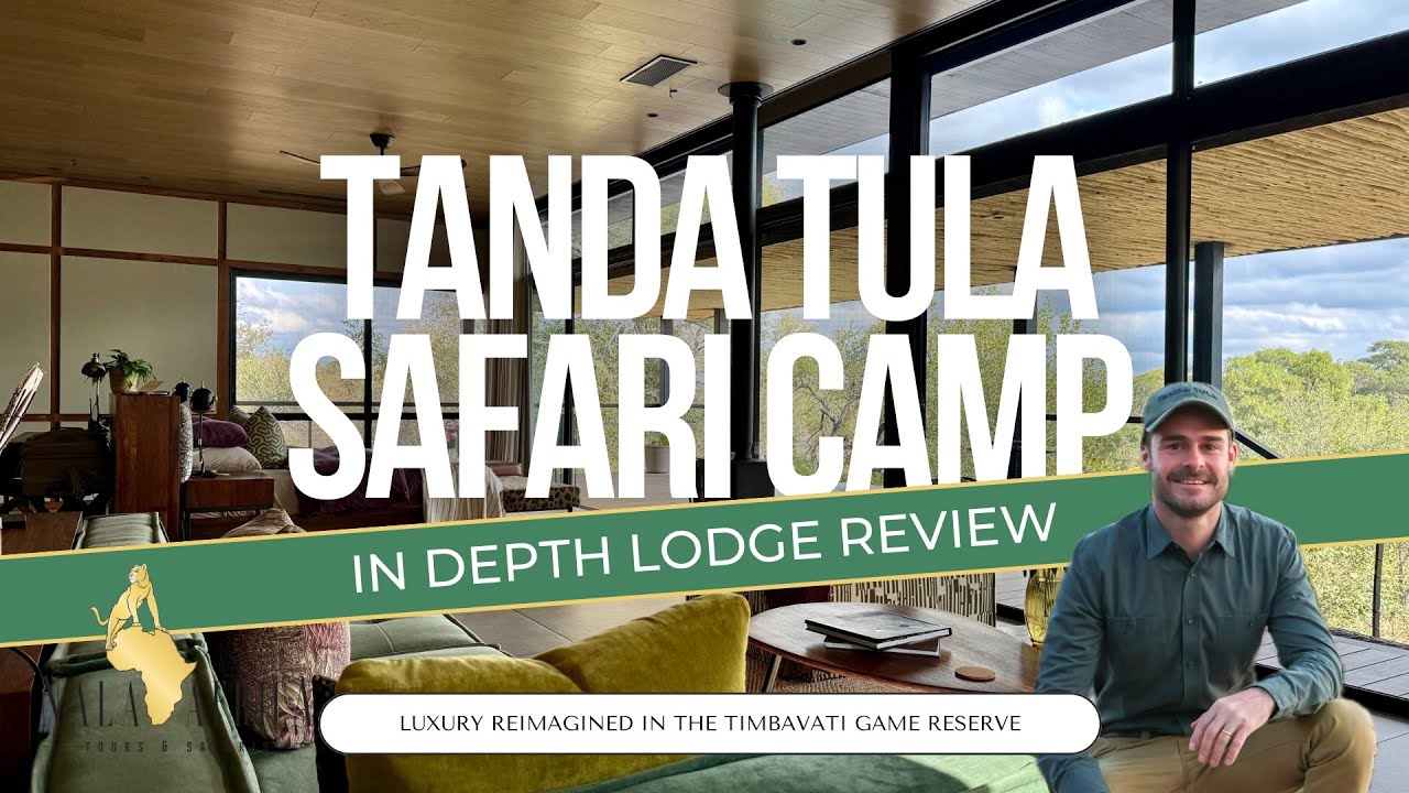 Tanda Tula Safari Camp - Lodge Review 🐾🎥