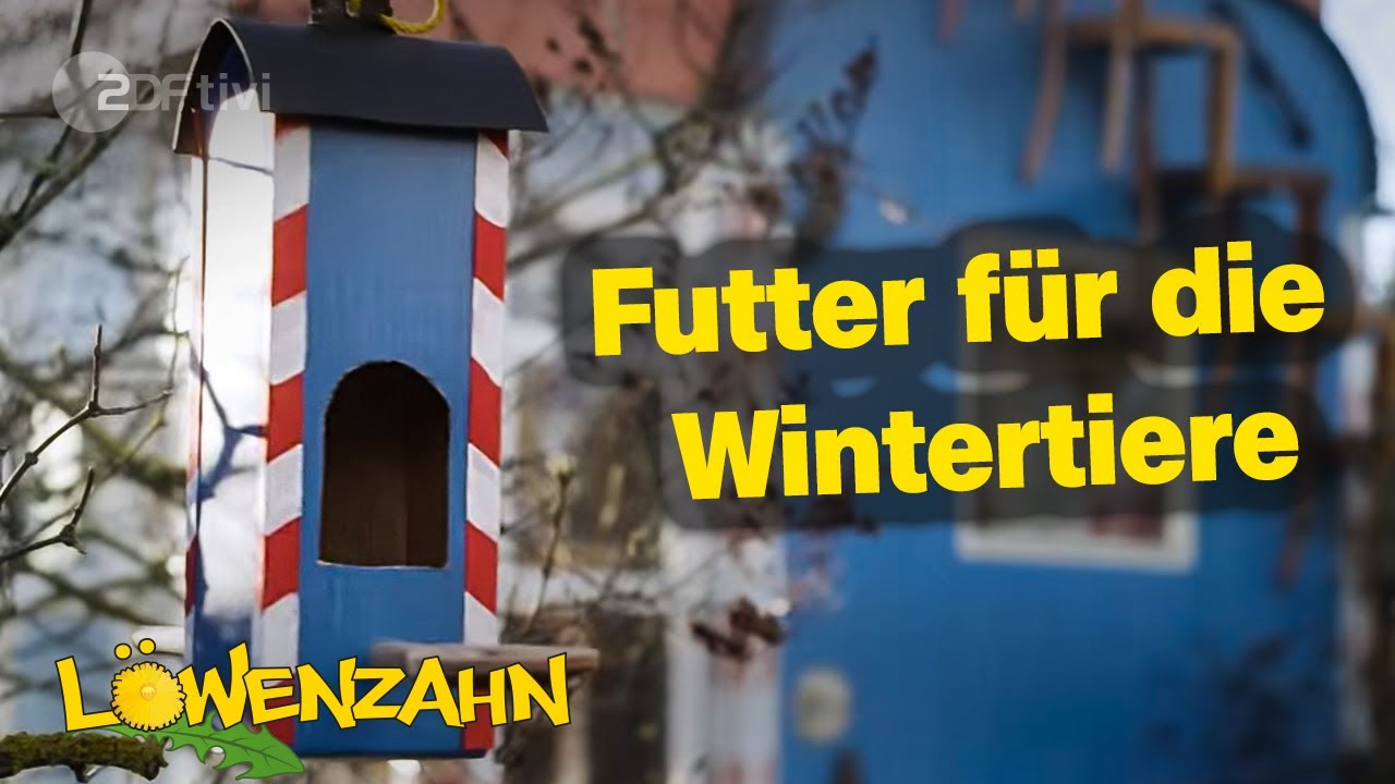 Vogelfutterstation basteln - So könnt ihr Tiere im Winter unterstützen - Löwenzahn - ZDFtivi