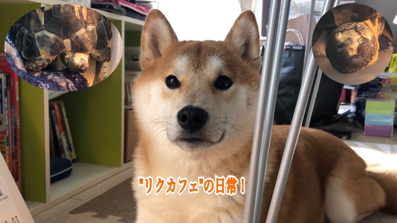 #85 ”リクカフェ”の日常をのぞき見！～2026年1月～