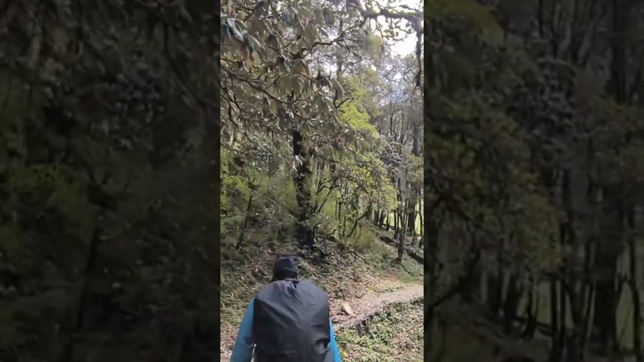 Roopkund Lake Trek, On the way to Ali Bugiyal #youtubeshorts #youtubeshorts #roopkundtrek #himalayas