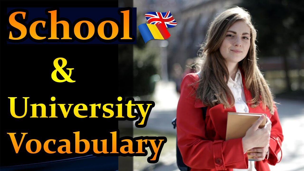 School and University Vocabulary