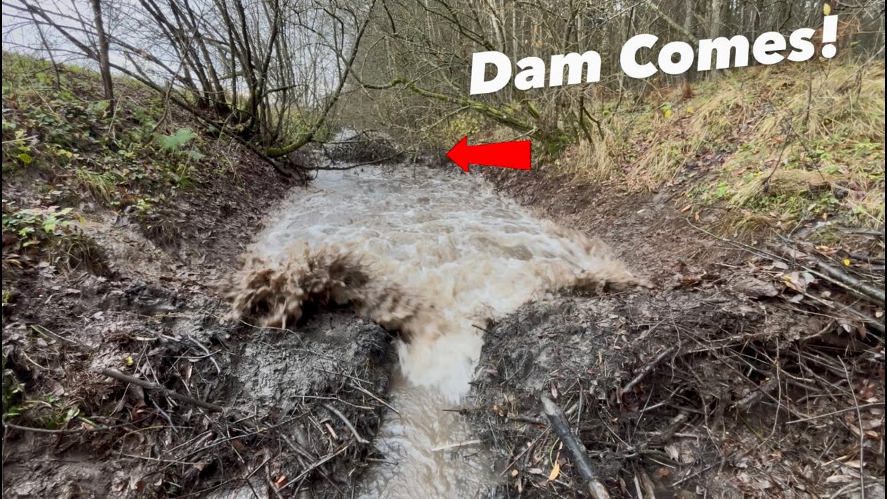 Biggest Flash Flood I've EVER HAD!