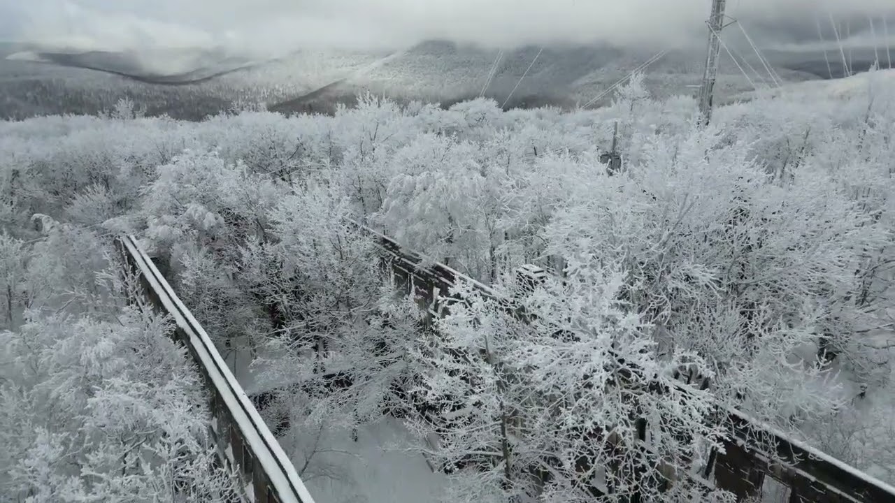 Overlook