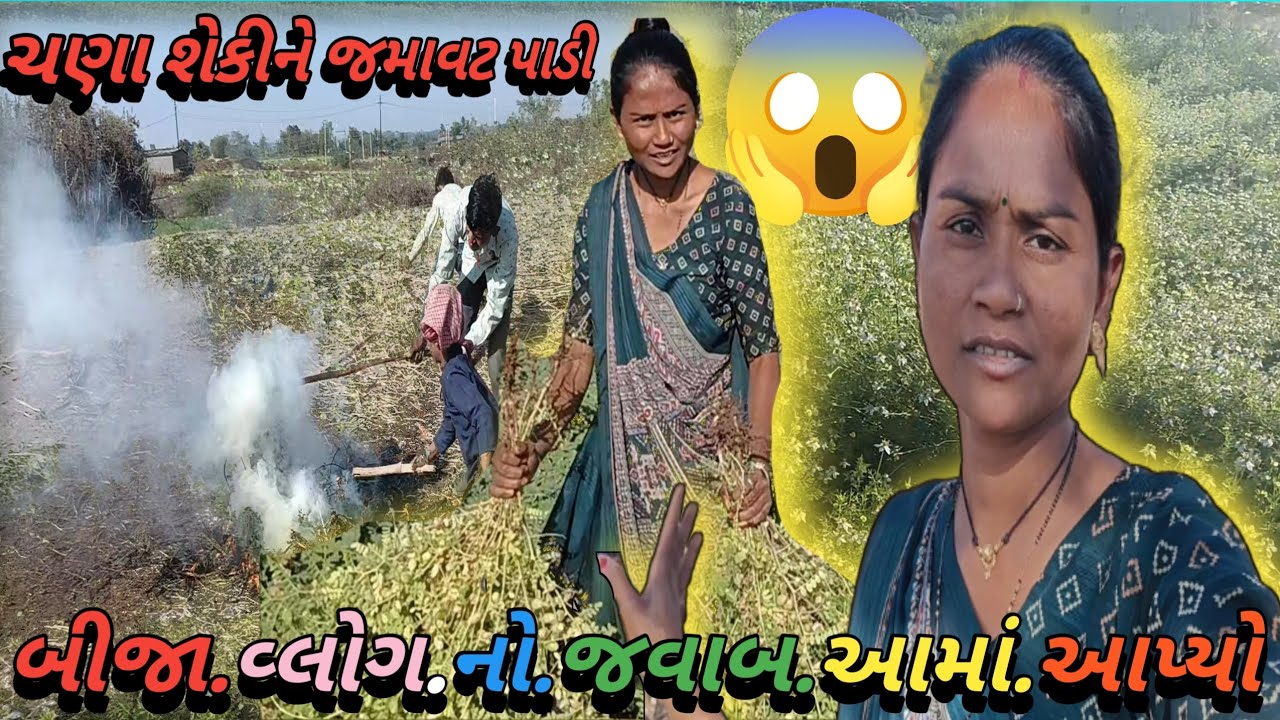 ચાણા શેકીને જમાવટ પાડી 😱 હરીનુગાડુ વ્લોગ