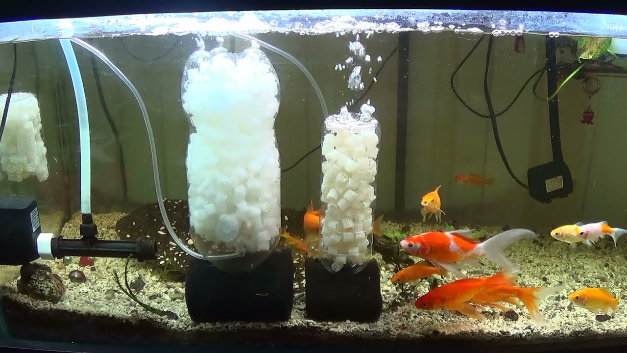 《魚菜共生資材》魚菜共生 硝化菌培養 水族箱過濾超強 k1 過濾瓶 DIY動手做 Aquaponics K1 Bottle Filter