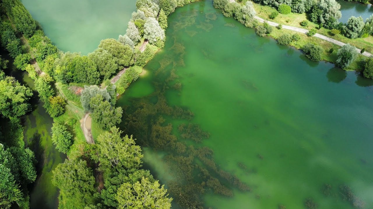 FRENCH PUBLIC LAKE FISHING FOR BIG CARP