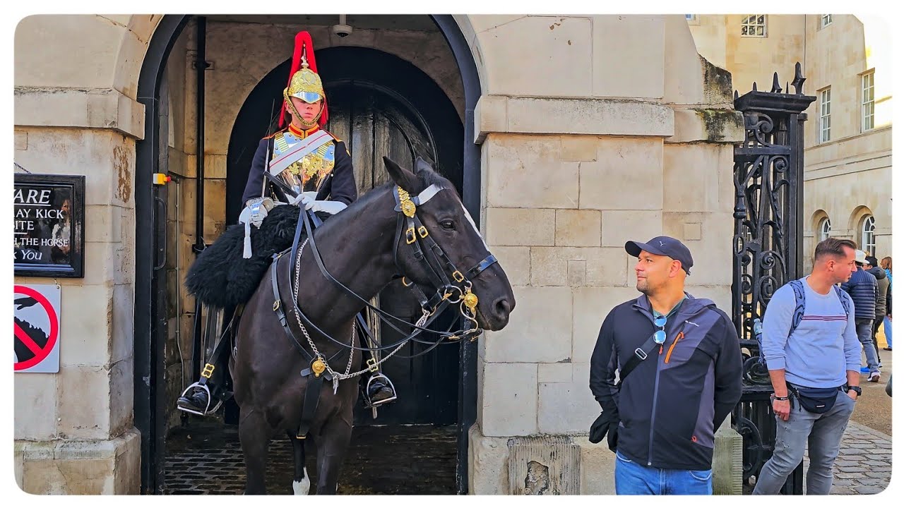 Only ORMONDE - 30 Minutes With The World's Most Famous Horse!