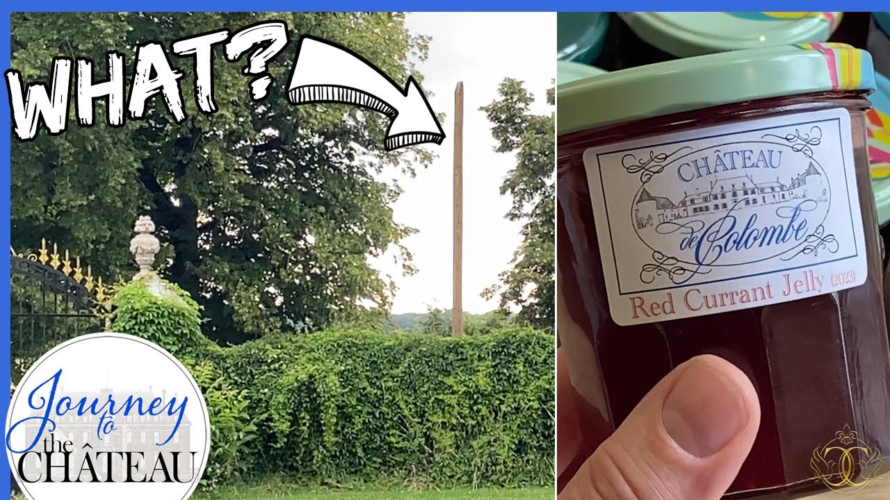 An unwelcome eyesore at the CHATEAU and a HARVEST of red currants - Journey to the Château, Ep. 106
