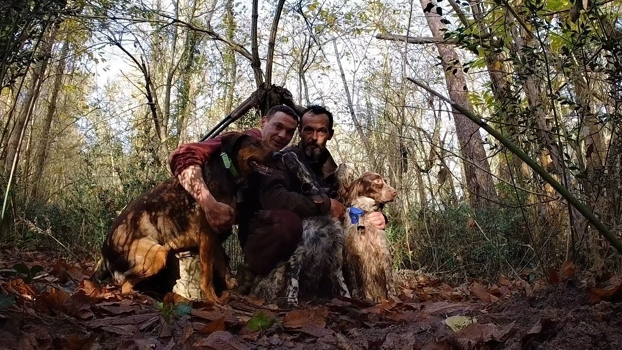 Chasses à la bécasse de Novembre @carpesgaronne
