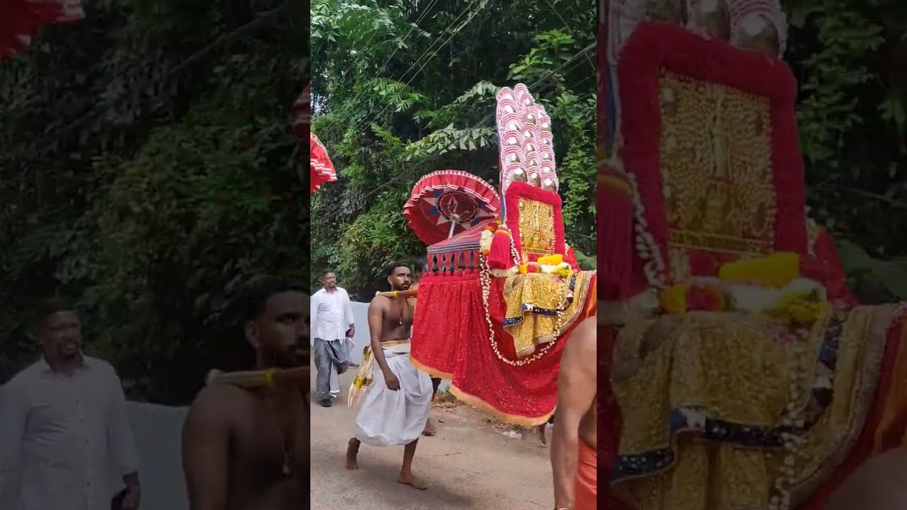 പറക്കെഴുന്നളളത്ത്..തുമ്പറ ദേവി ക്ഷേത്രം മുണ്ടയ്ക്കൽ.. #keralaelephant #mundakkal #thumpara