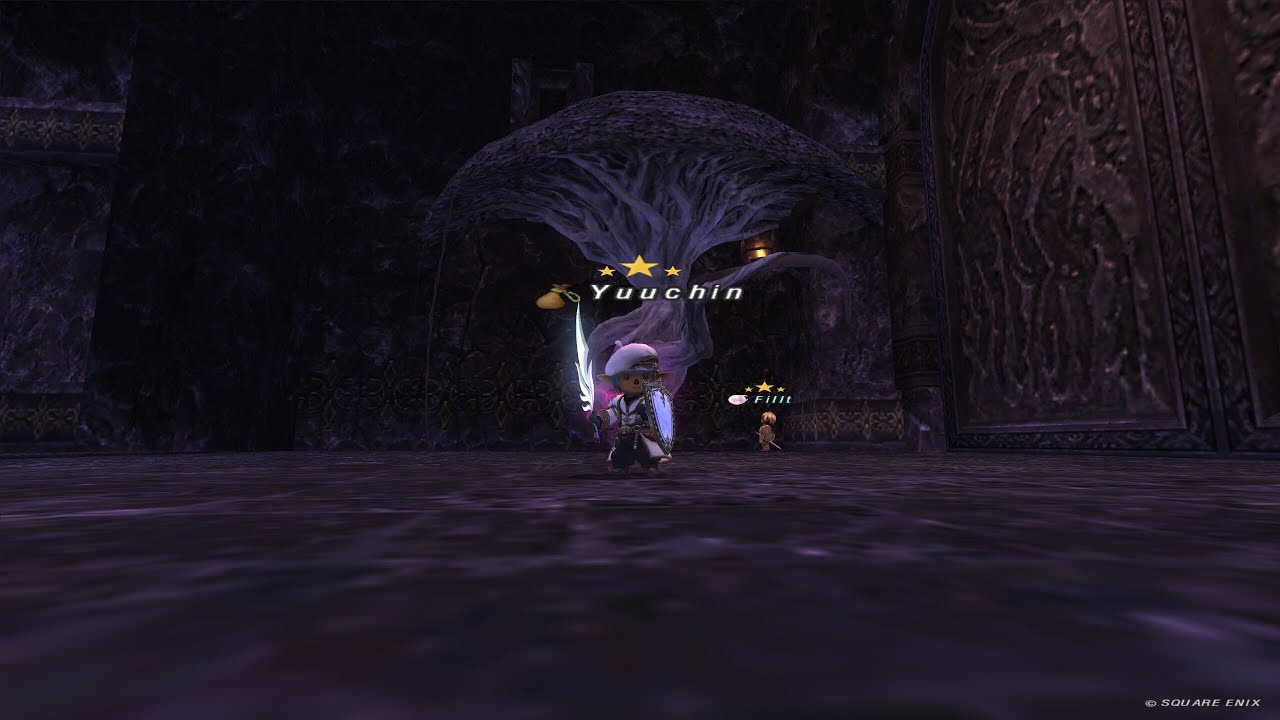 【FF11】土曜定期～ジェールV25 RP稼ぎ→強Aminonか８ボス【ビス鯖】