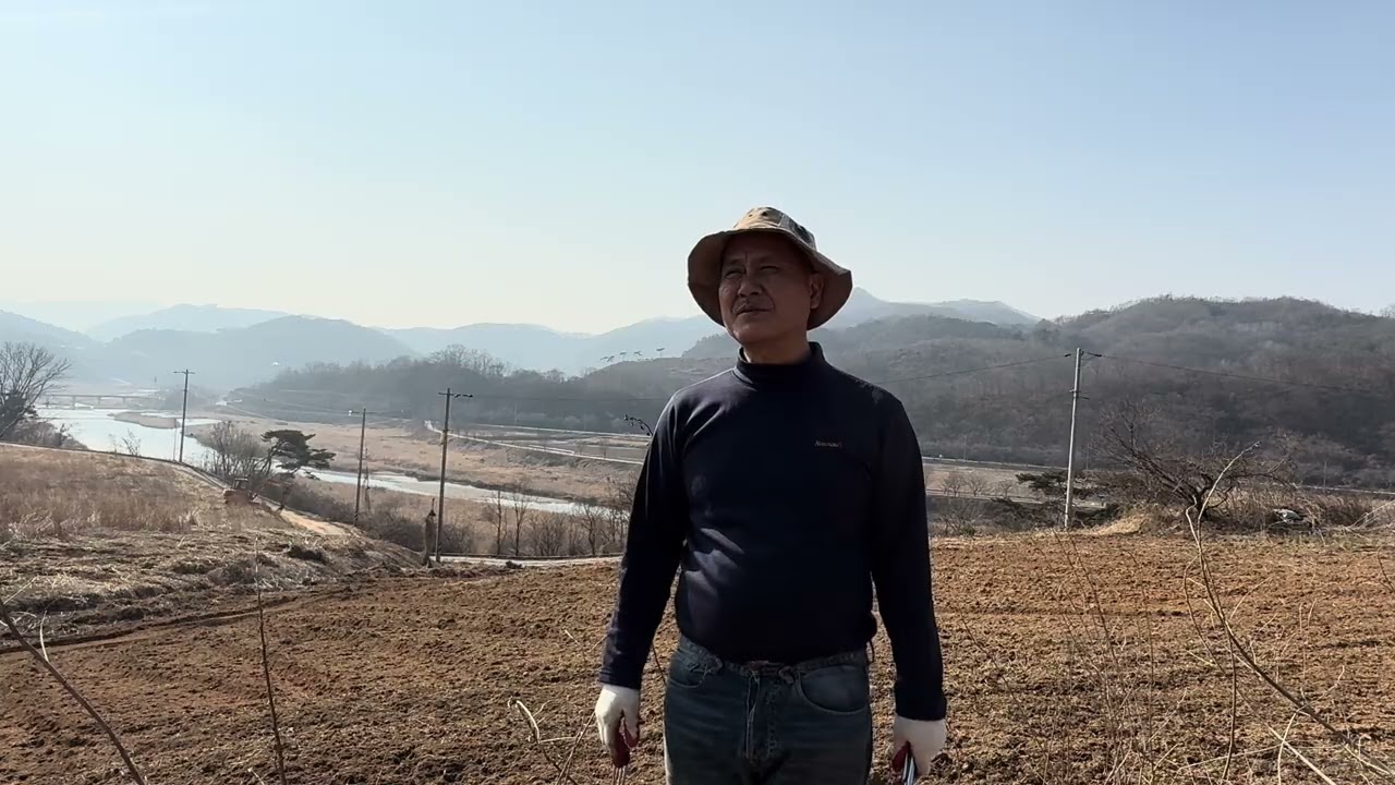 뉘집 밭이 이리 곱디야