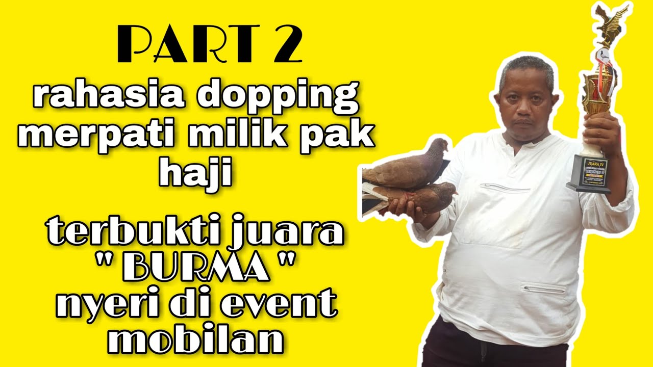 Part 2 rahasia dopping merpati pak haji marwan || tia nugroho