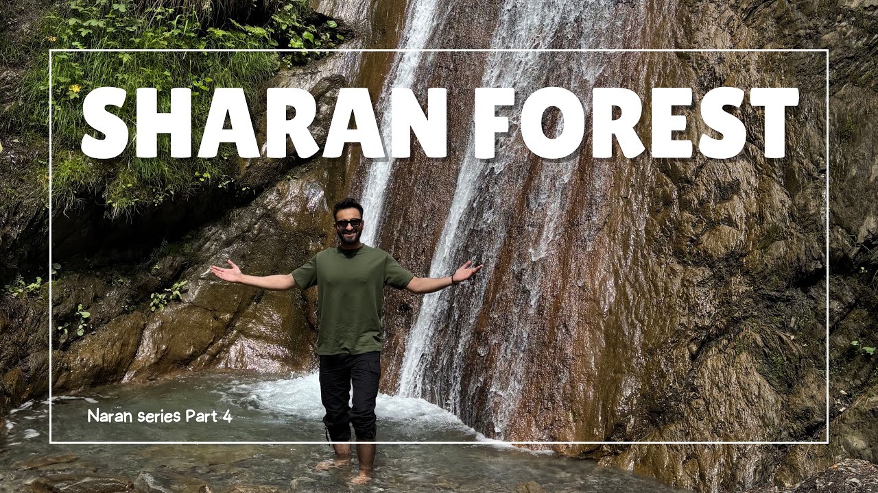 Naran series | Part 4 | Sharan forest | theawaischaudhary