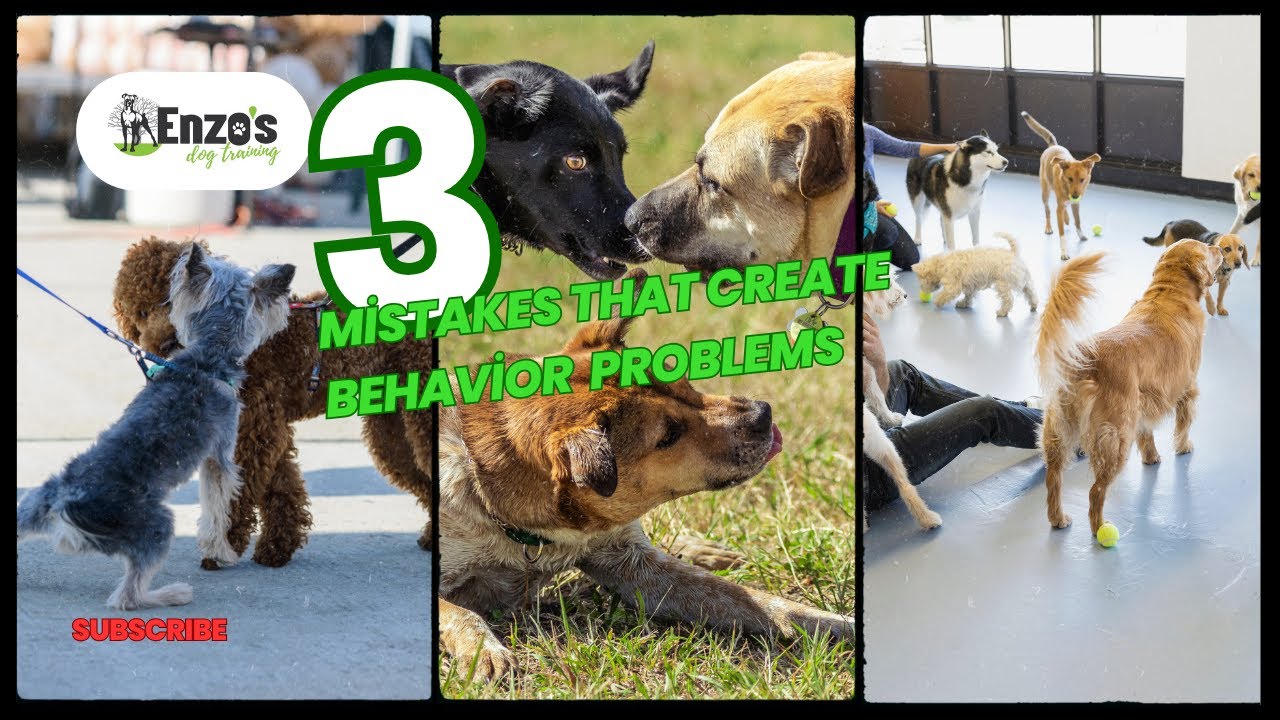 What created behavior problems?