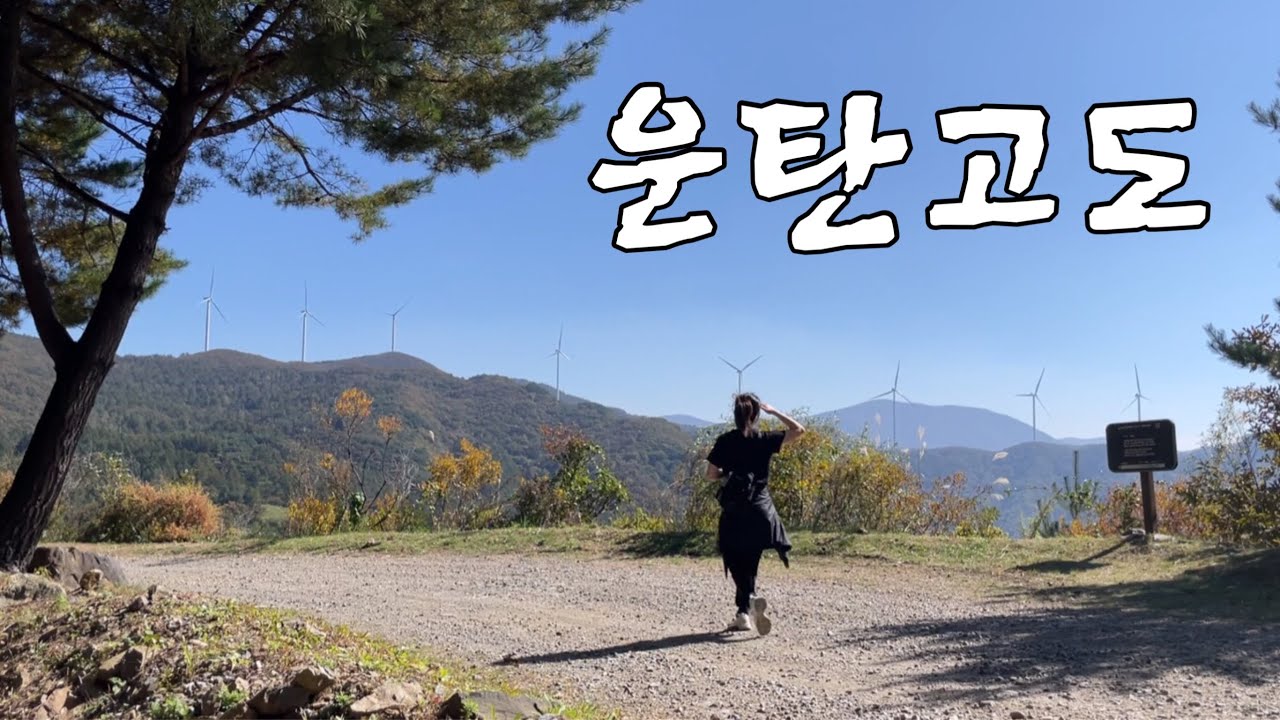 내 인생 최고의 트레킹 I 광부의 길⚒️I 걸을 때마다 환상적인 뷰가 펼쳐지는 운탄고도 5코스⛰️