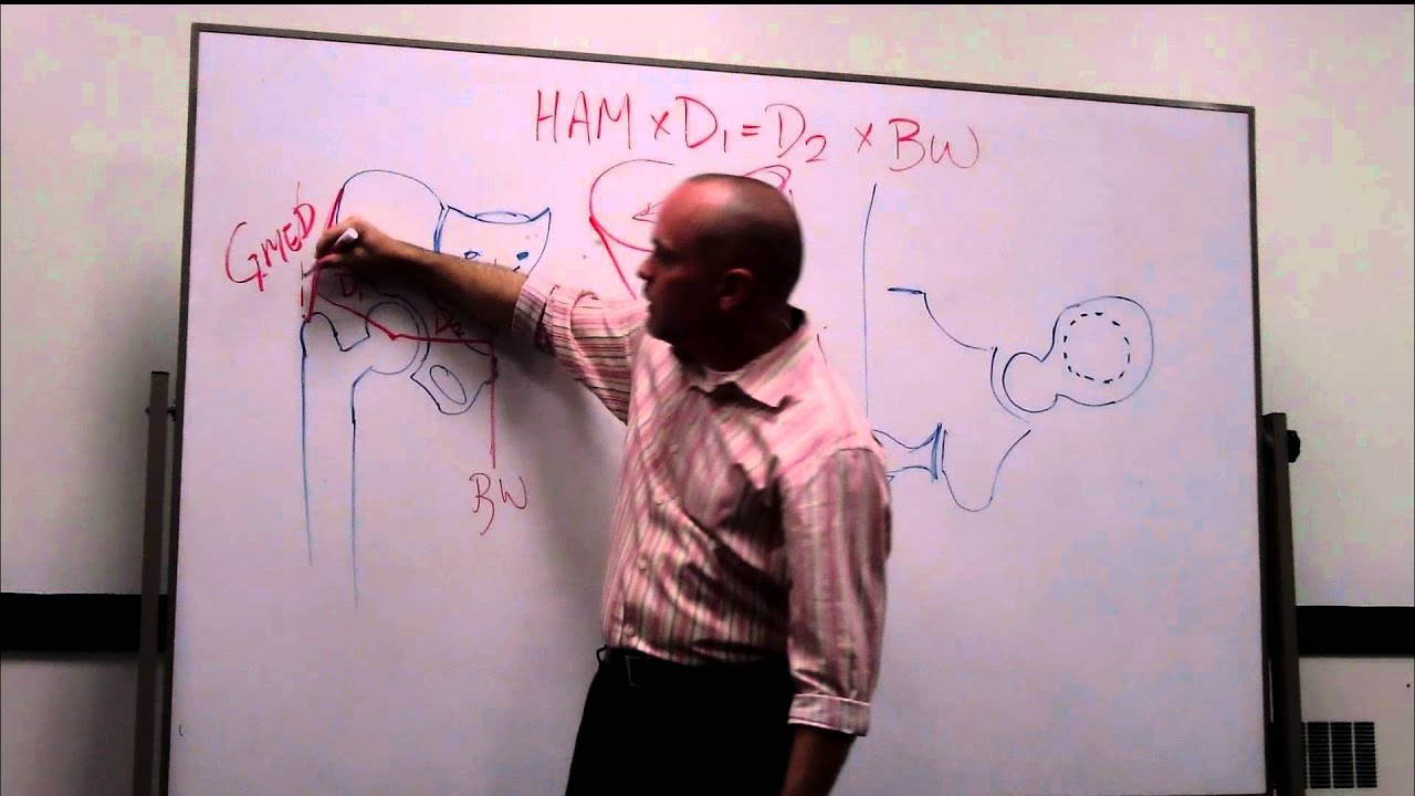 Applied Gait Hip Biomechanics, Part 1