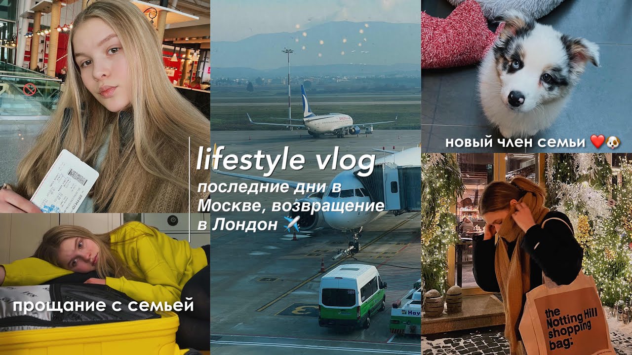 lifestyle vlog: ✈️ перелет Москва - Лондон, окрашивание в блондинку | мы завели собаку ❤️