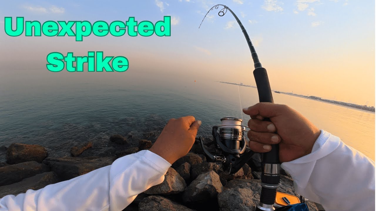 Shore jigging - Queen fish - صيد سمكة الضلع