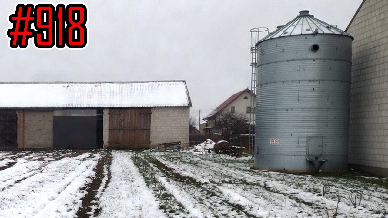 Będę budował silos zbożowy płaskodenny/lejowy 90t #918