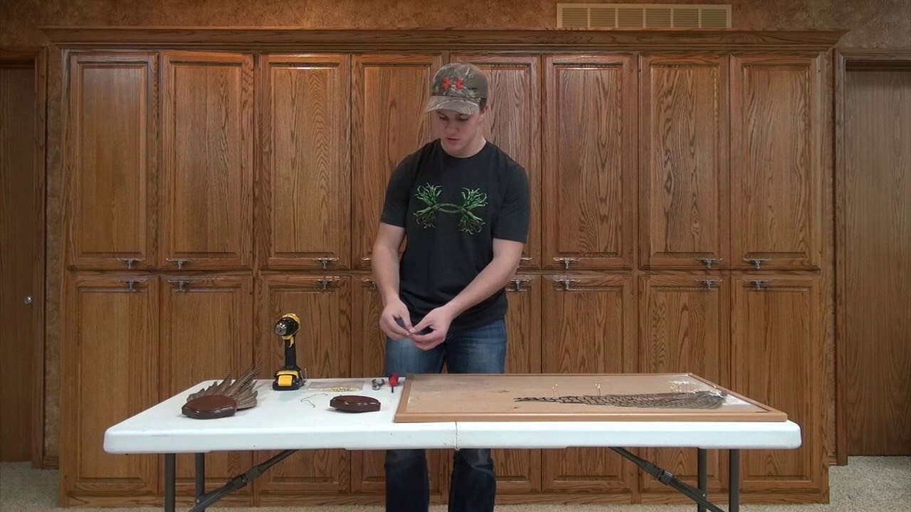 Pheasant Feather Mount - Taxidermy Tips