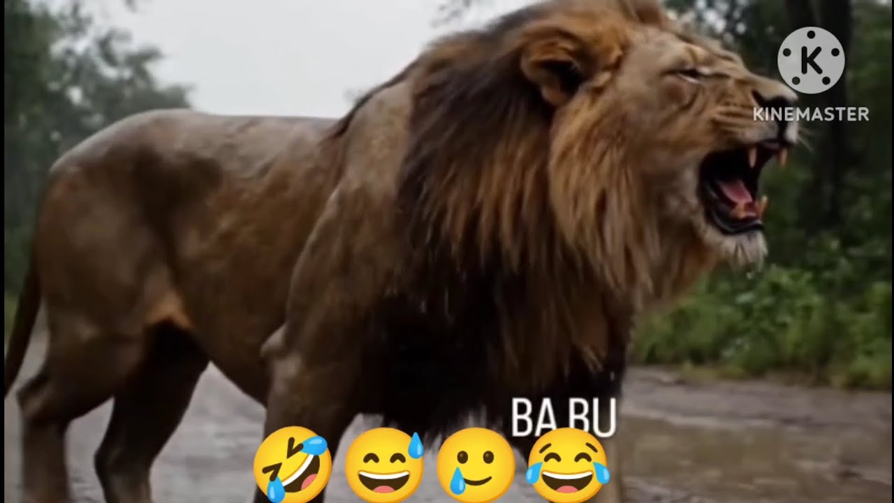 बारिश में दयाराम को आई छगूनी की याद 😅🤣।। Comedy।। By Roshan Swami vlogs 