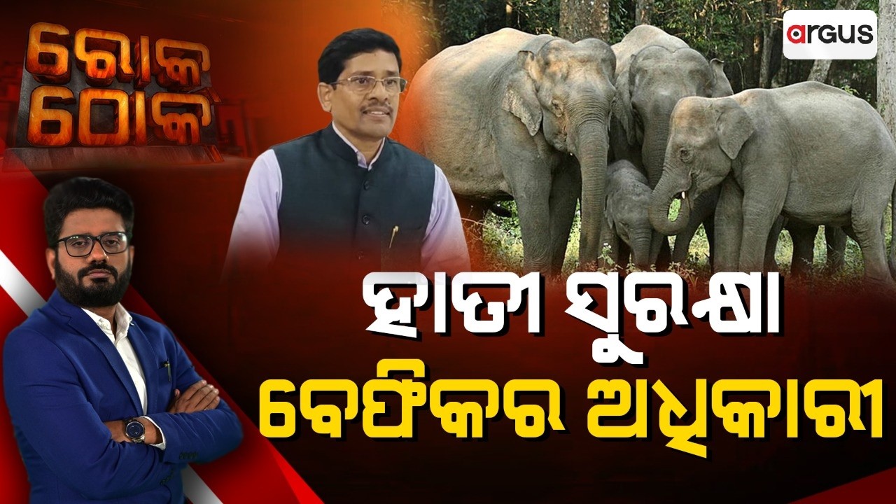 🔴Rok Thok Live | ରୋକ ଠୋକ : ହାତୀ ସୁରକ୍ଷା, ବେଫିକର୍ ଅଧିକାରୀ | Elephant Safety | Argus News