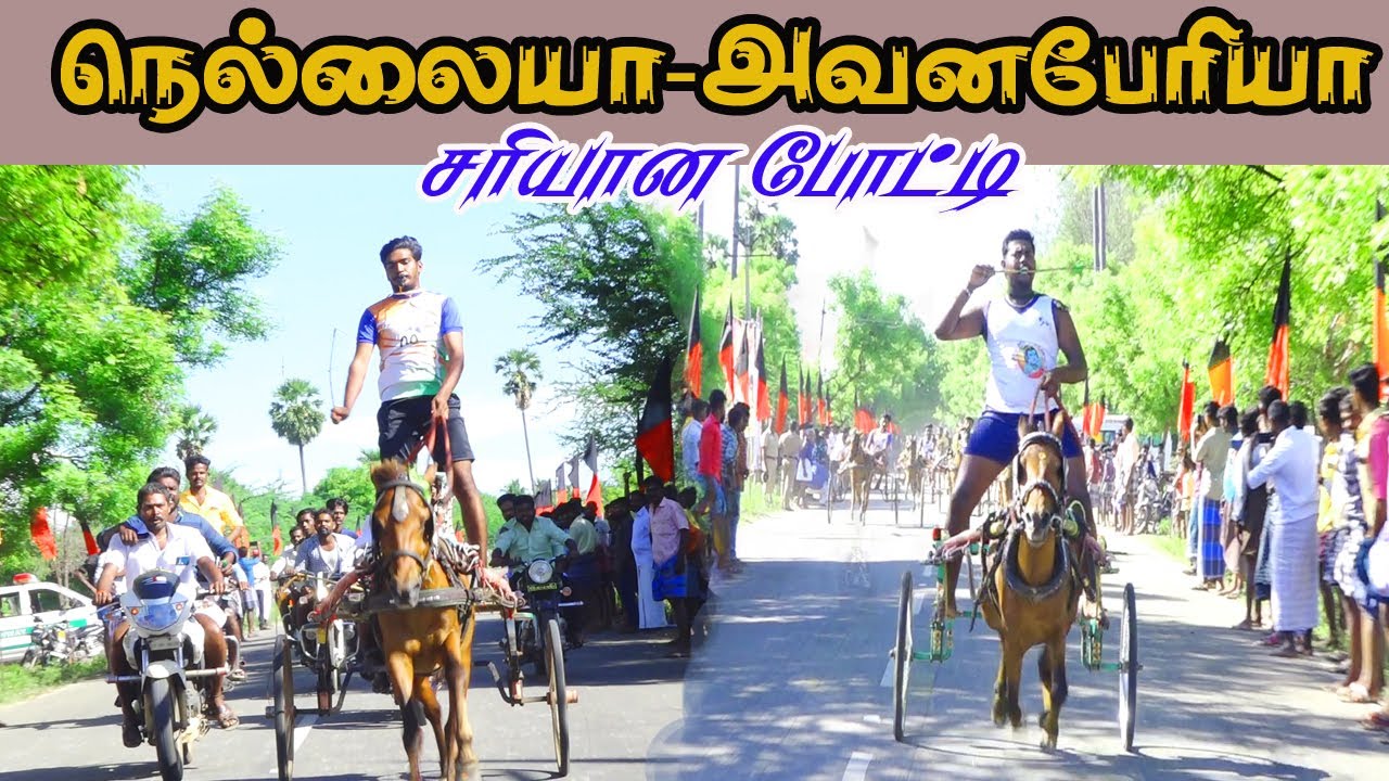 குதிரைவண்டி தென்காசி(மா) பாப்பாக்குடி மாட்டுவண்டி பந்தயம் 29.05.2022#amuthamstudio#thenkasi#