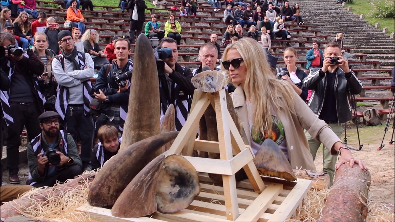 Safari Park Dvůr Králové: Burn Horns Save Rhinos 2017