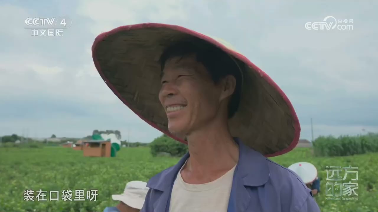 [远方的家]山河锦绣看中国——青山秀水 邕城故事 壮族山歌大山飞扬 | 中华地图