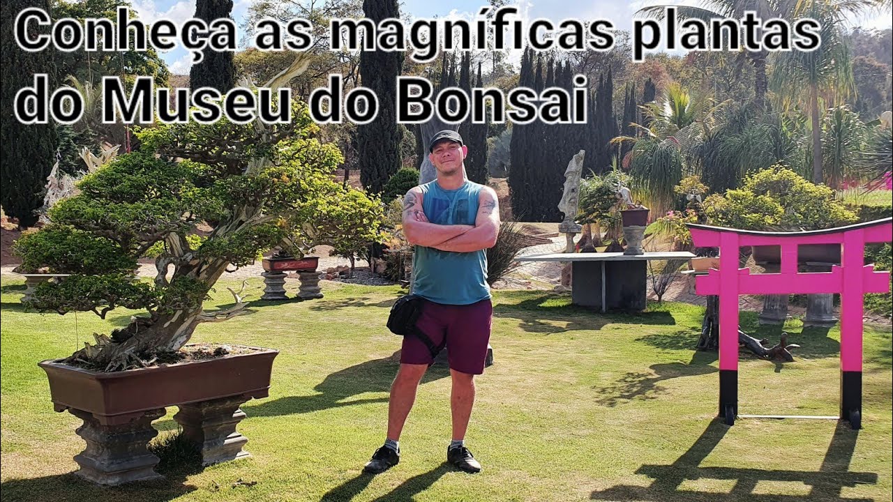 Museu do Bonsai - Esmeraldas MG