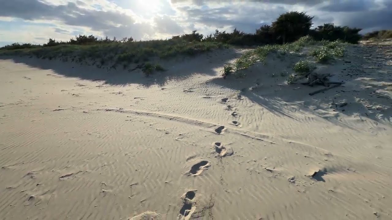 #Italy 🇮🇹 #Apulia #Castellaneta Stornara Nature Reserve | non-stop stretch of sand | sunset walking.