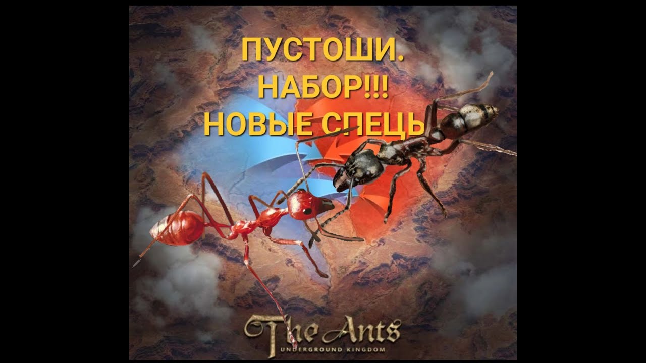 Пустоши обзор, Набор в Альянс и разбор новых спецов