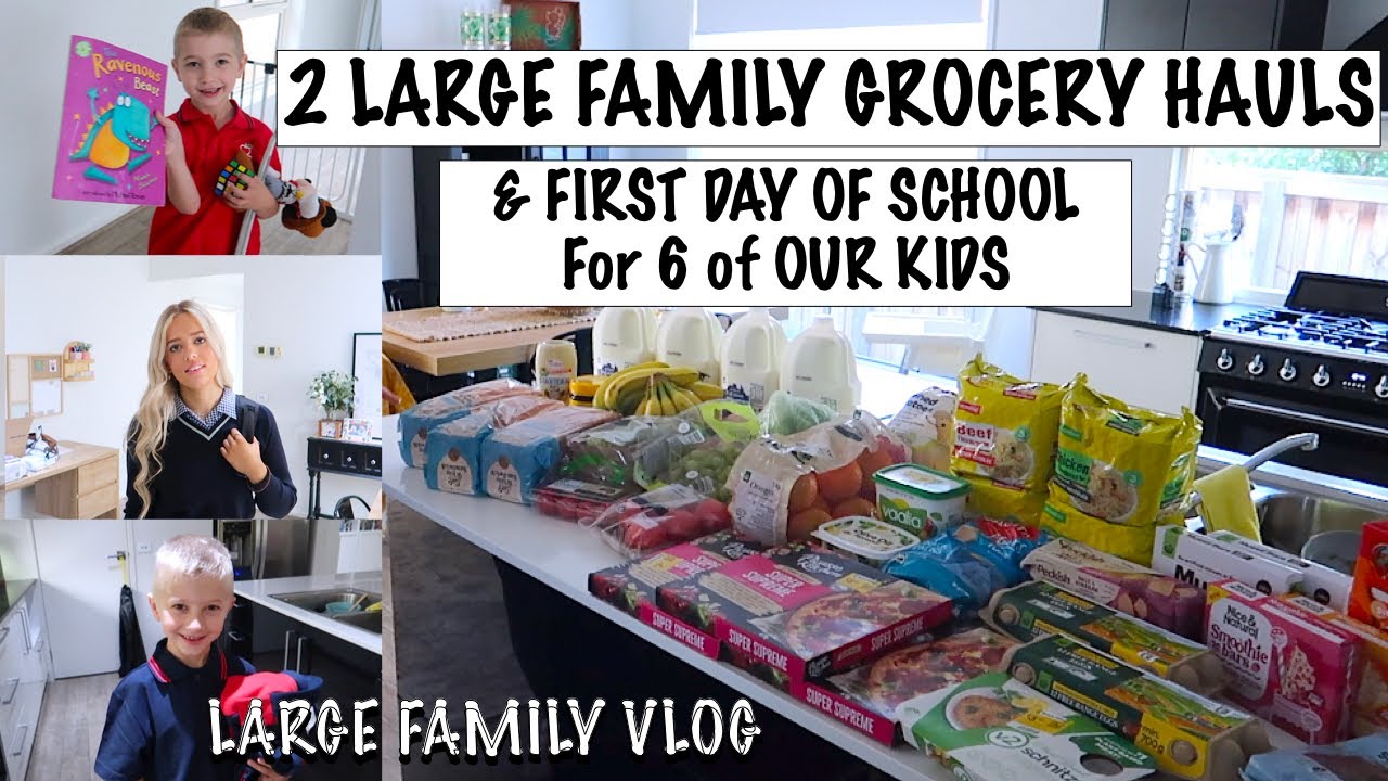 2 LARGE FAMILY GROCERY HAULS & *FIRST DAY* of SCHOOL for 6 of our KIDS 2024