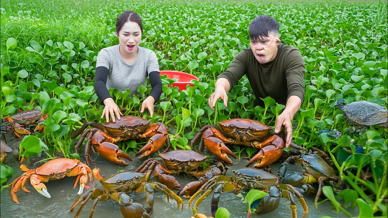 Harvesting Lots of Crabs in the Swamp to Sell at Market | Traditional Crab Soup Recipe | L&yacute; Thị Hoa