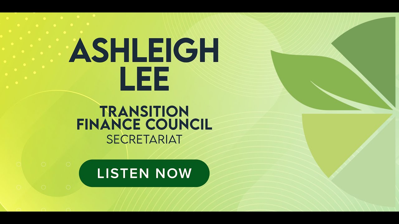 Navigating the transition finance landscape