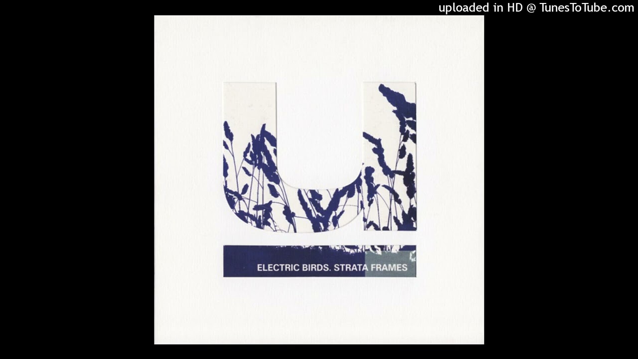 Electric Birds - Pitch Patterns