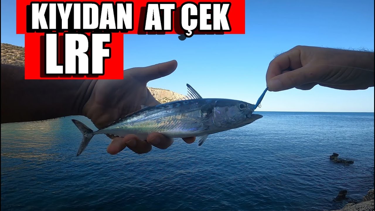 LRF Kıyıdan At Çek Balık Avı - Güvercin Adasında Micro Jigging