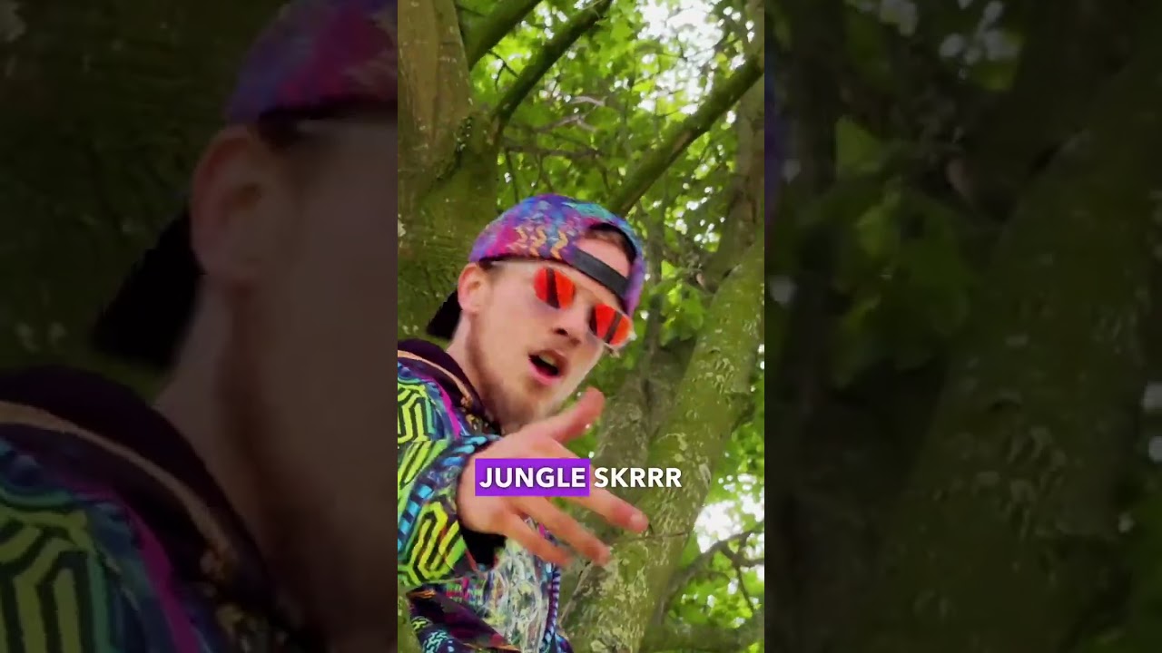 King Kong van Kabouter Trippy is nu live &ndash; voel de energie van de natuur!