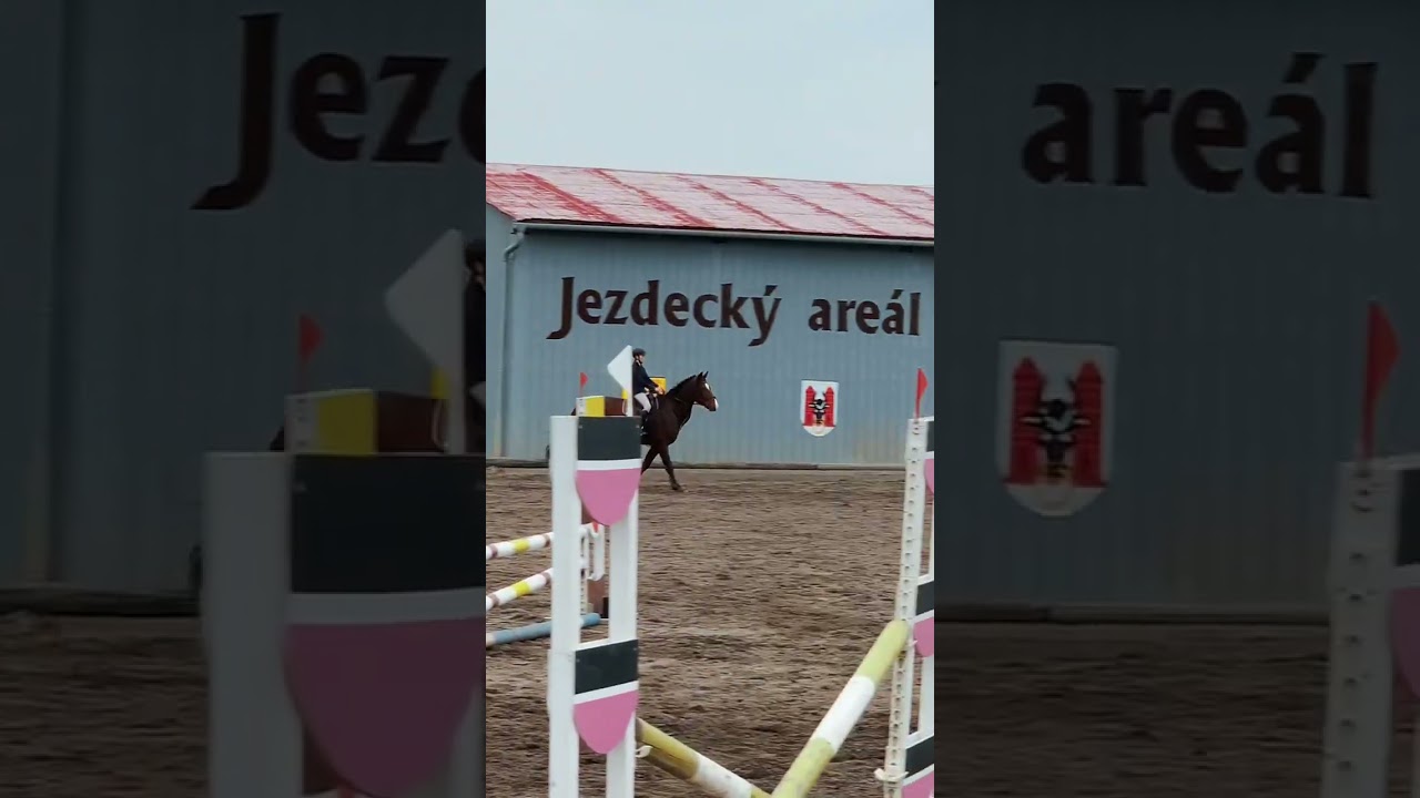 Zzvj 2024- jezdecká licence - v rychlosti 😂- Přerov