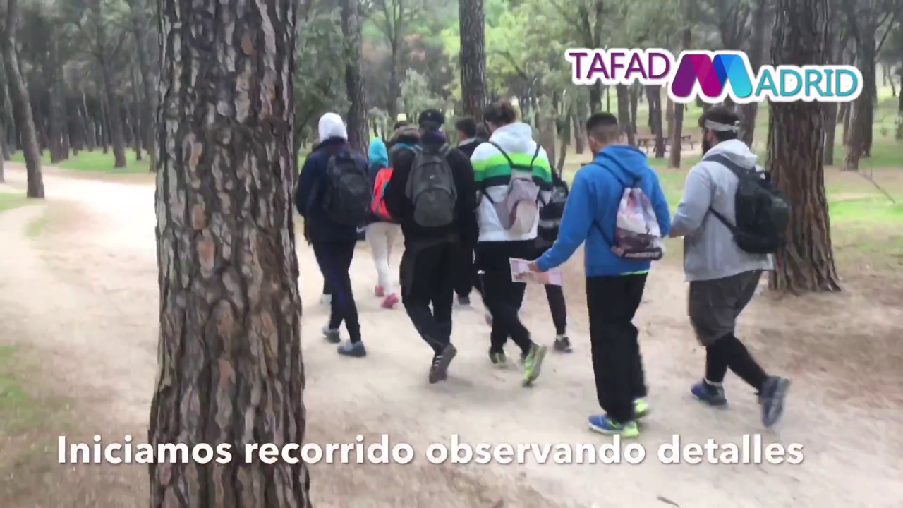 Orientaci&oacute;n en Valdelatas con los TECO