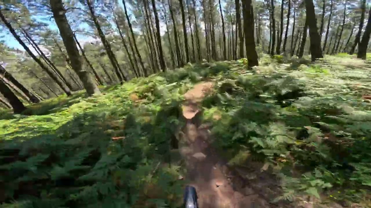 Sur ron light bee, estrenando suspension EXT ferro y EXT arma mx, bajadita muy bonita