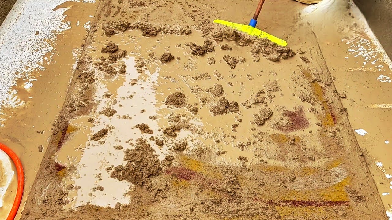 DIY Deep Carpet Cleaning: How to Clean a Dirty Carpet (Get Ready With Me)