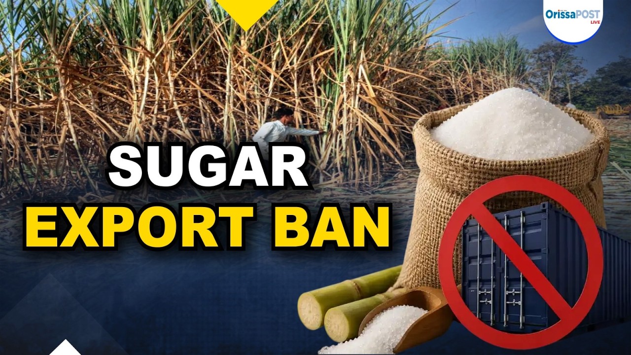 India bans sugar exports till Sept 2026 | DGFT issues major notification amid price concerns