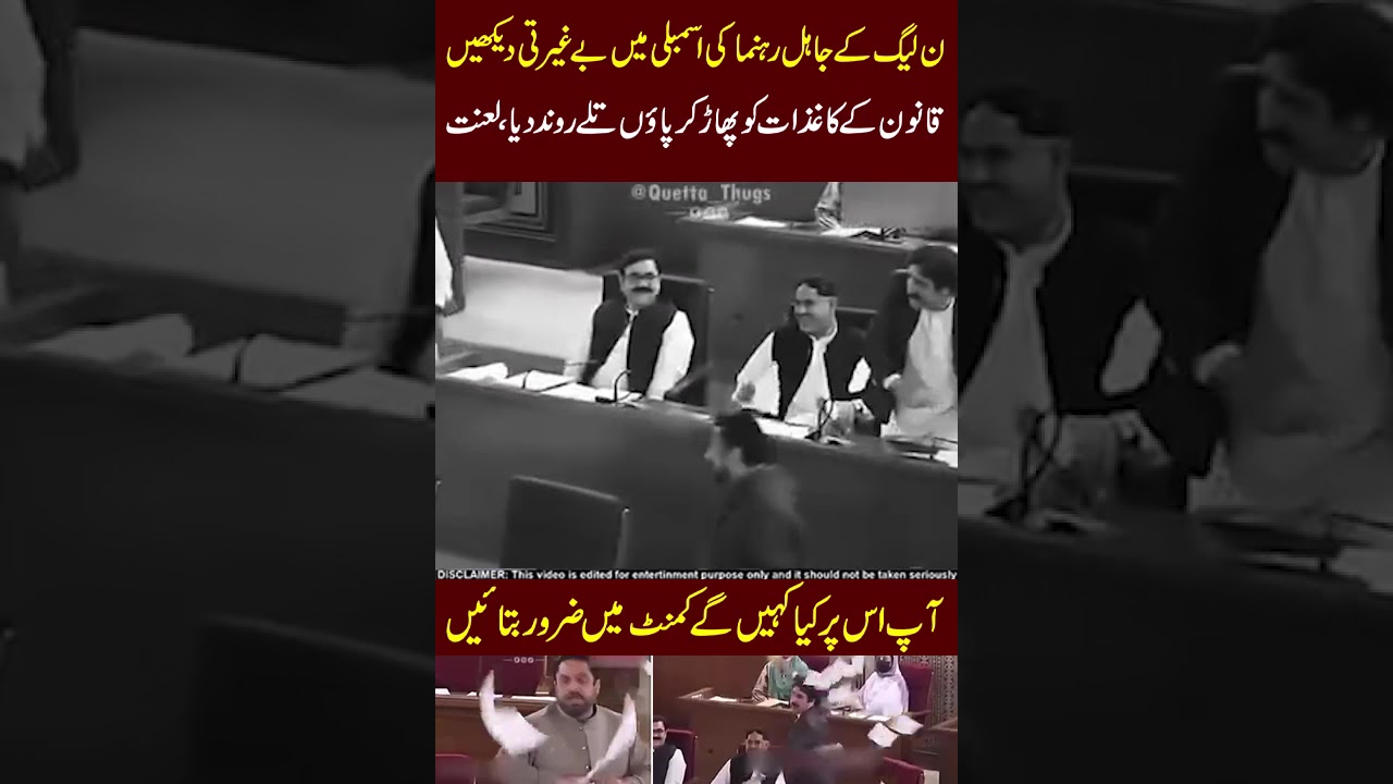 N League ki be ghairti dekhe 😡😡