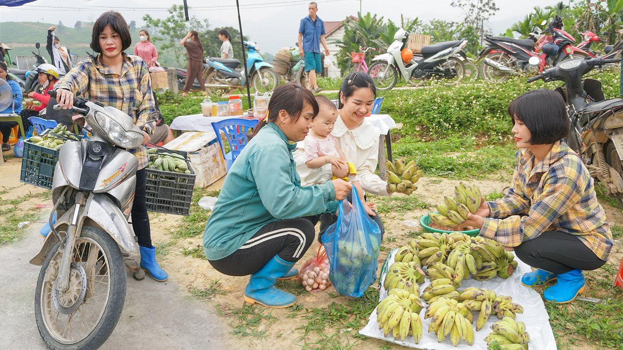 Harvest Coconut Weevil And Ripe Banana Goes To Sell At Village Market - Watermelon garden care