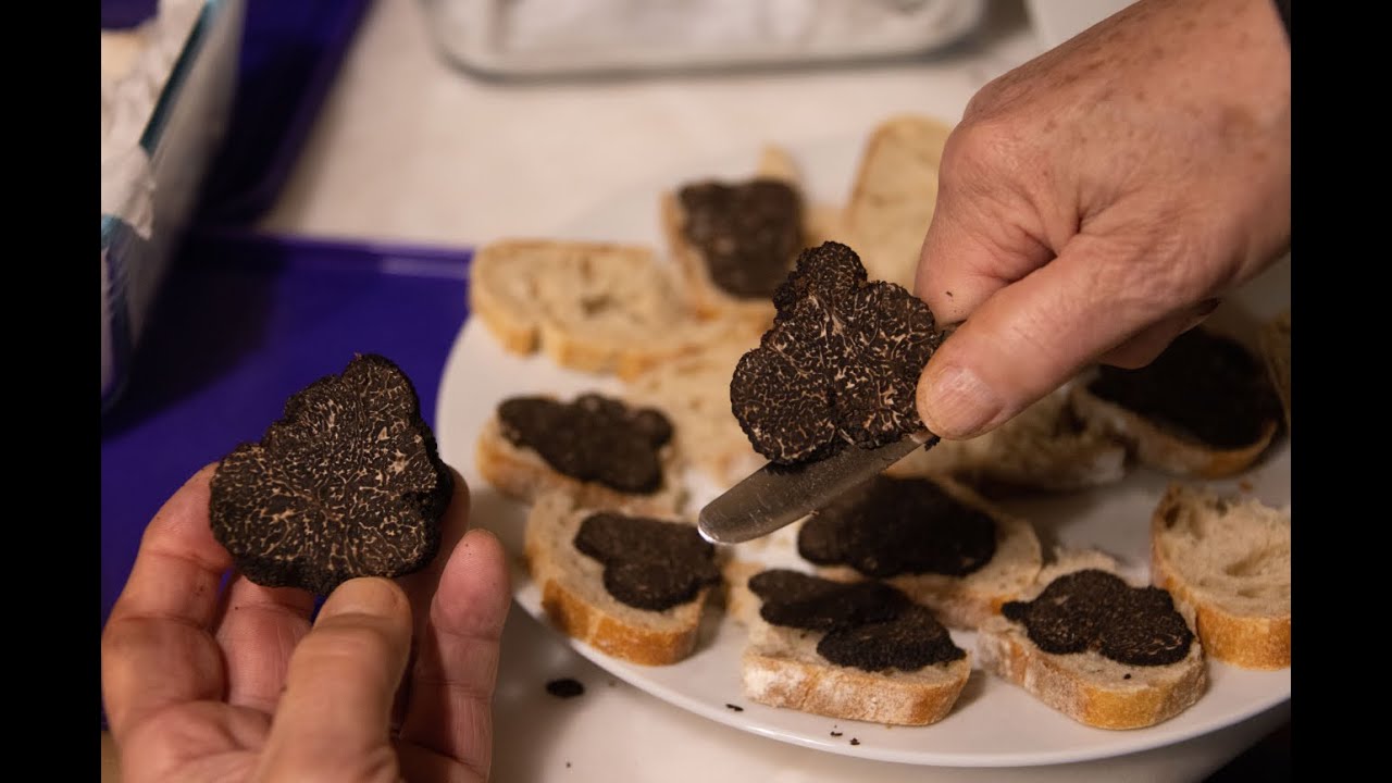 Métier : trufficulteur